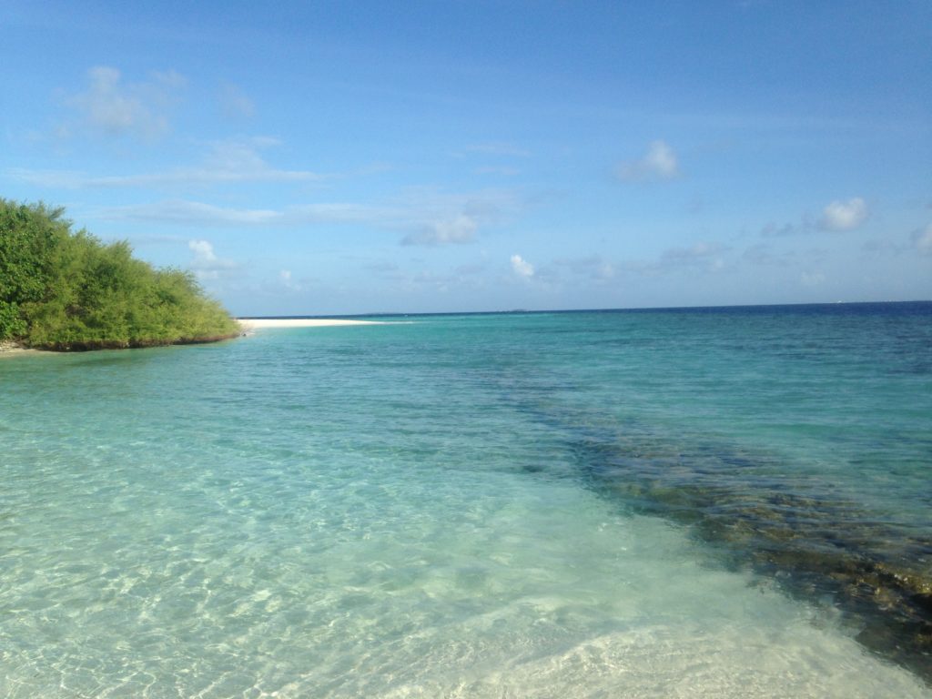 モルディブ新婚旅行で何する？25年後も後悔しない5つの過ごし方・やること モルディブ新婚旅行navi